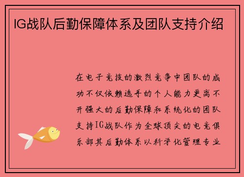 IG战队后勤保障体系及团队支持介绍
