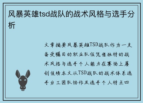 风暴英雄tsd战队的战术风格与选手分析